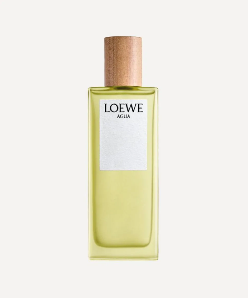Loewe Mens Perfume|Womens Perfume^Agua Eau de Toilette 100ml