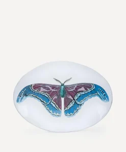 Astier de Villatte Tableware^Butterfly Oval Platter