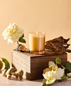 Apotheke Candles & Candle Holders^Cedarwood Ginger Petite Scented Candle 142g