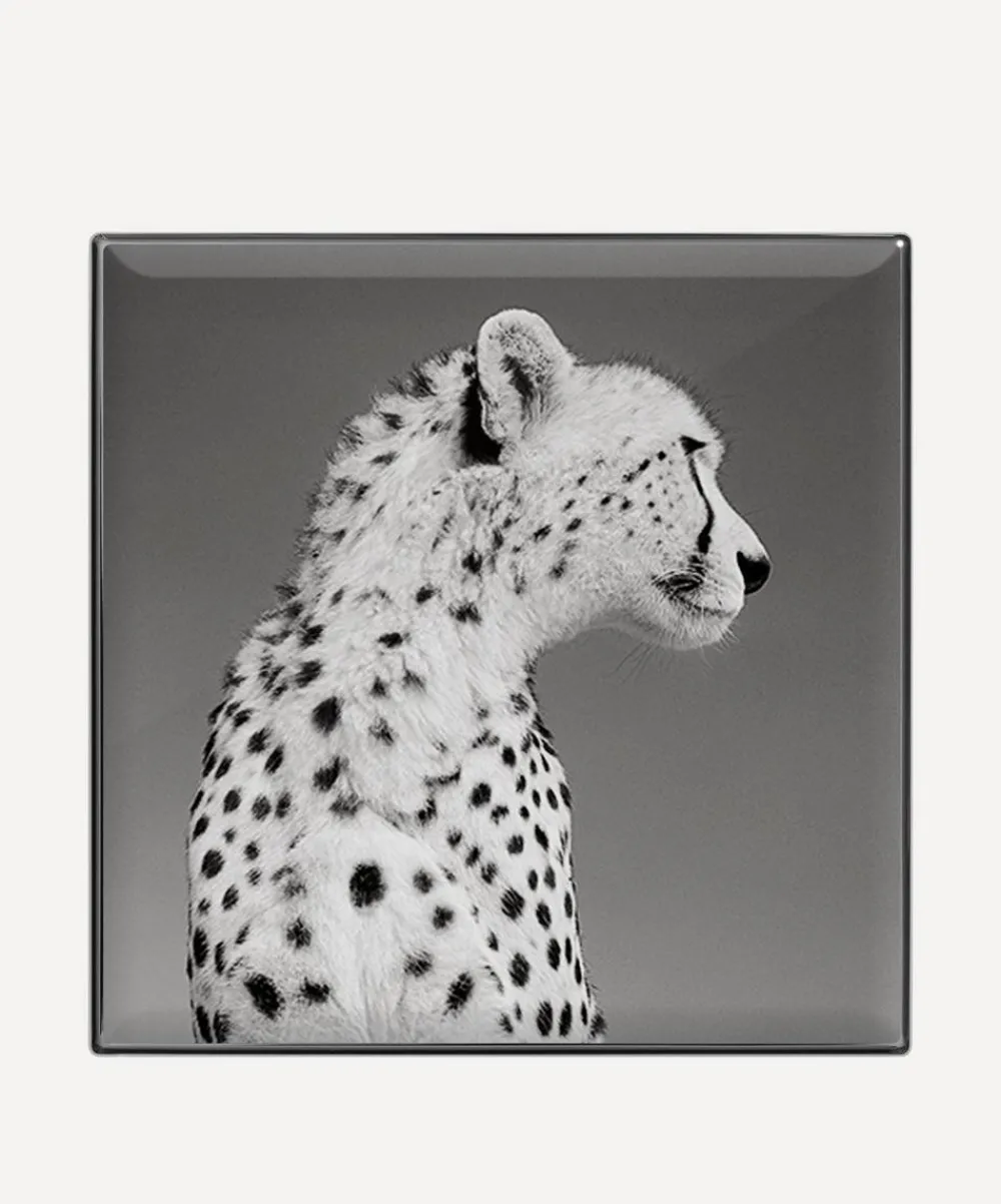 Chantecaille Eyes^Cheetah Luminescent Eye Shade