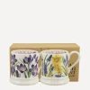 Emma Bridgewater Mugs^Crocus Tete-a-Tete and Grape Hyacinth Boxed Half-Pint Mugs