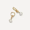 Astley Clarke Earrings^18ct Gold-Plated Vermeil Silver Floe Pearl Drop Huggie Hoop Earrings