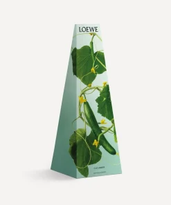 Loewe Candles & Candle Holders^Cucumber Chandelier Scented Candle 330g