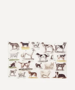 John Derian Stationery And Games^Dog Run Letter Tray