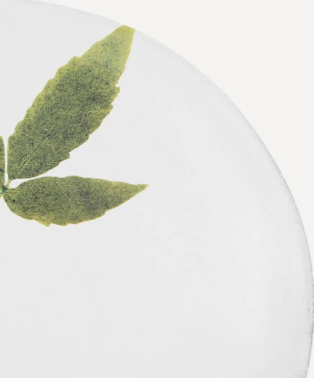 Astier de Villatte Tableware^Drachocephalum Plate