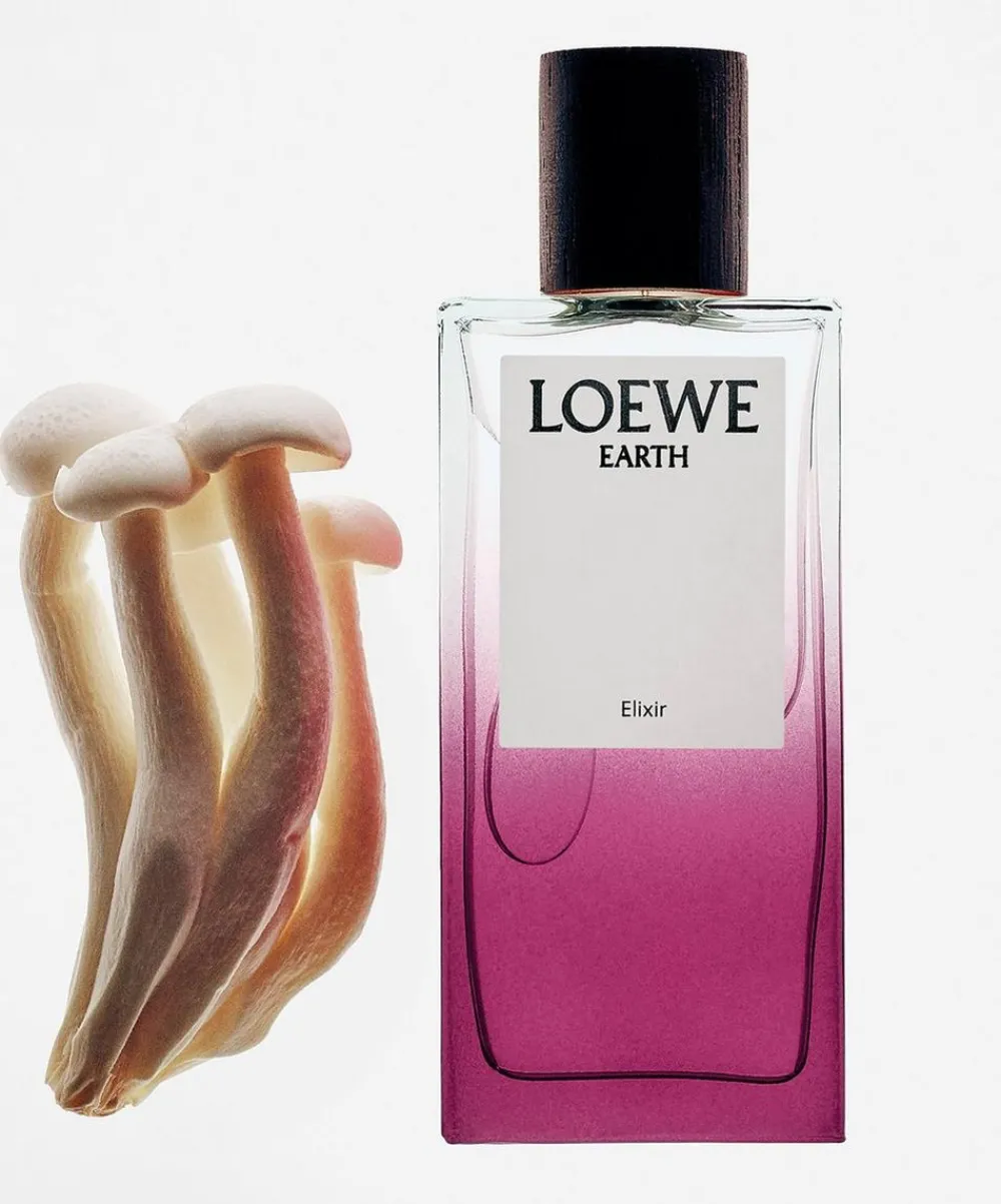 Loewe Womens Perfume^Earth Elixir 100ml