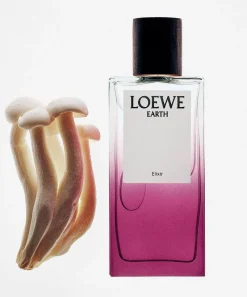 Loewe Womens Perfume^Earth Elixir 50ml