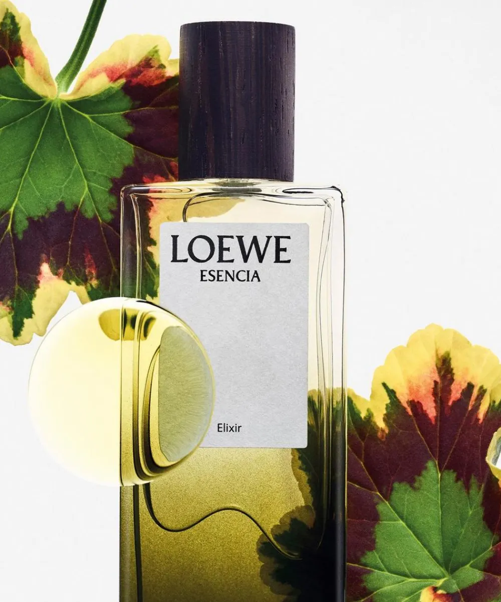 Loewe Candles & Candle Holders|Womens Perfume^Esencia Elixir Eau de Parfum 100ml