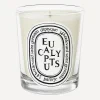 Diptyque Candles & Candle Holders^Eucalyptus Scented Candle 190g