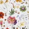Liberty Fabrics Classic Tana Lawn|Tana Lawn™ Cotton^Floral Eve Tana Lawn™ Cotton