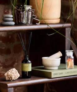 P.F. Candle Co. Candles & Candle Holders^Geranium Moss Reed Diffuser 103ml
