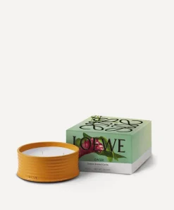 Loewe Candles & Candle Holders^Ginger Outdoor Candle 2360g