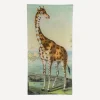 John Derian Stationery And Games^Giraffe Pencil Tray