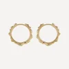Monica Vinader Earrings^Gold Plated Vermeil Silver Siren Muse Small Hoop Earrings