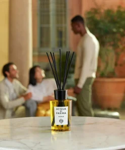 Acqua Di Parma Candles & Candle Holders^Insieme Room Diffuser 200g