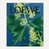 Loewe Bathroom|Bath & Body Wash^Ivy Small Bar Soap Duo