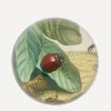 John Derian Stationery And Games^Ladybug Paperweight