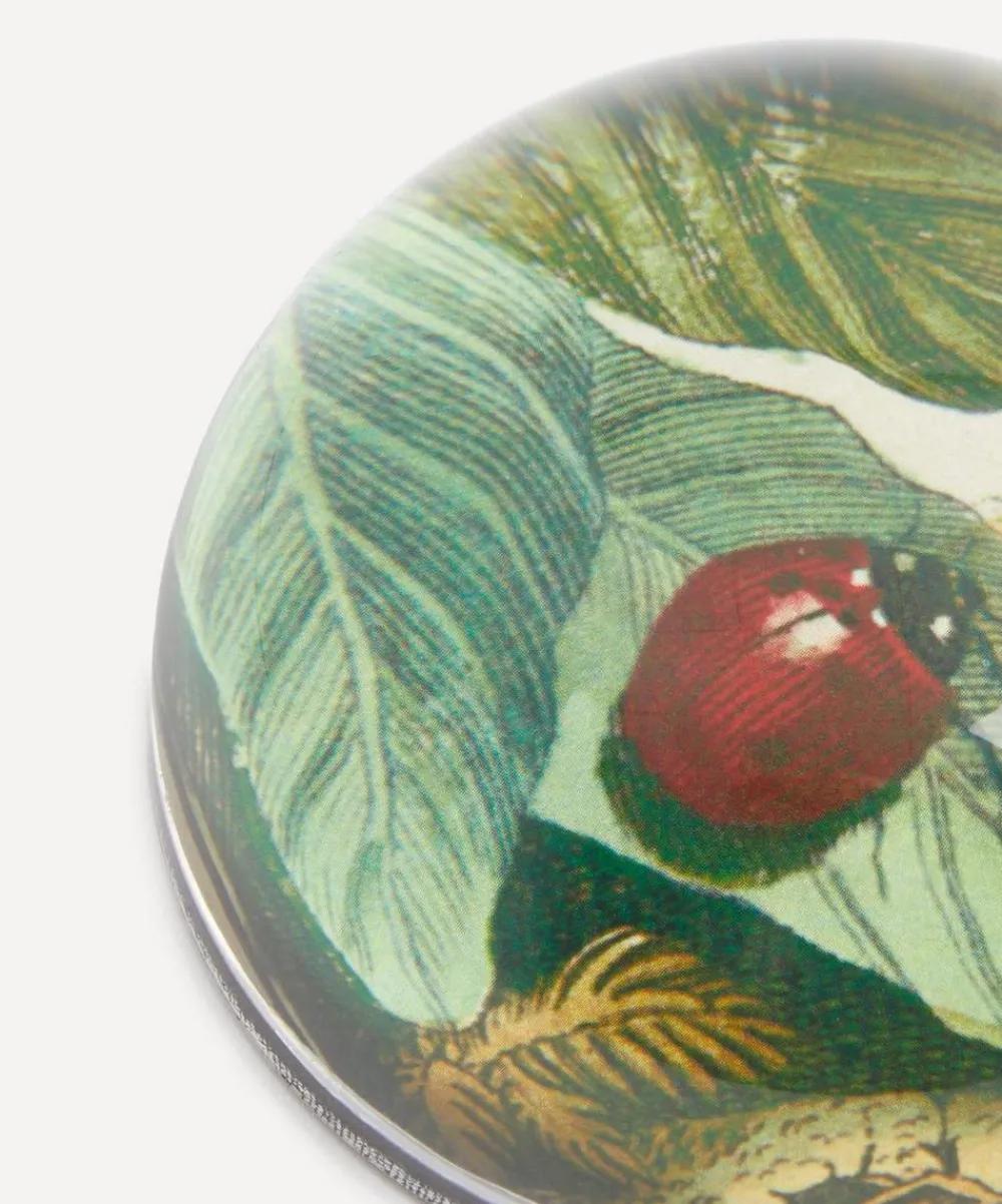 John Derian Stationery And Games^Ladybug Paperweight