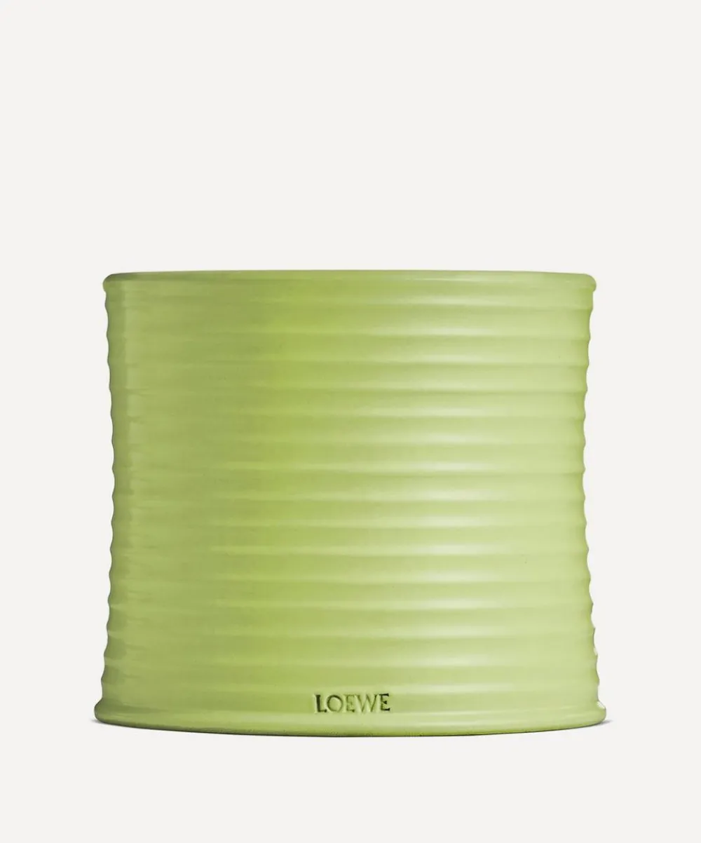 Loewe Candles & Candle Holders^Large Cucumber Candle 2120g