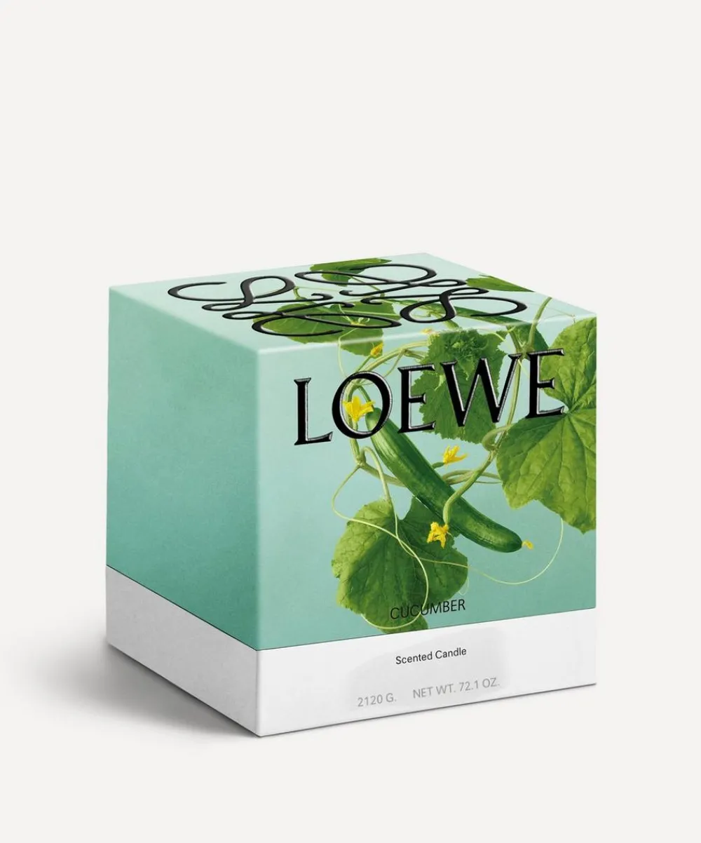 Loewe Candles & Candle Holders^Large Cucumber Candle 2120g