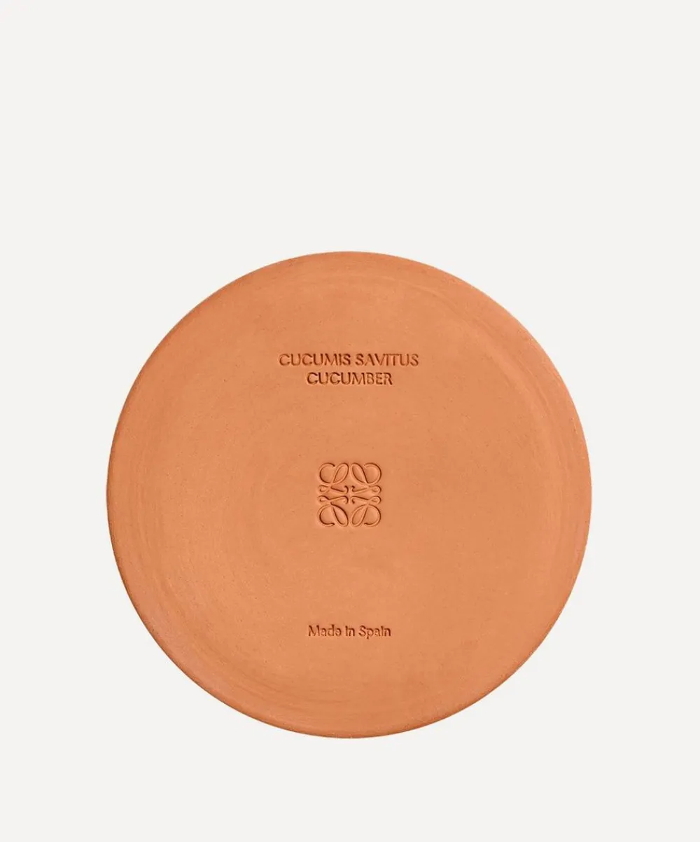 Loewe Candles & Candle Holders^Large Cucumber Candle 2120g