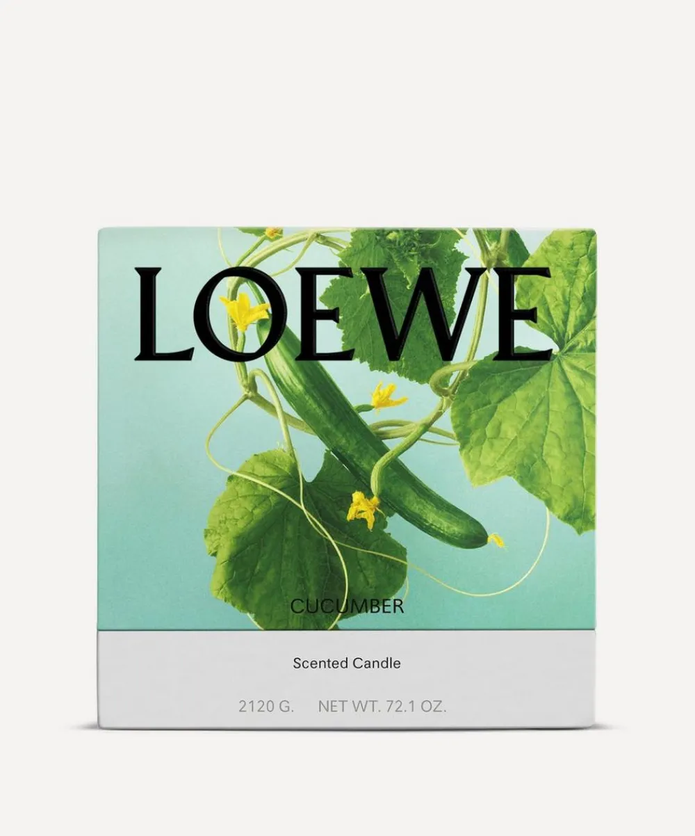 Loewe Candles & Candle Holders^Large Cucumber Candle 2120g