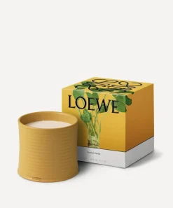 Loewe Candles & Candle Holders|Living Room^Large Wasabi Candle 2210g