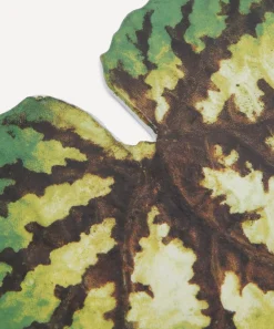 Astier de Villatte Tableware|Living Room^Leaf 55 Platter