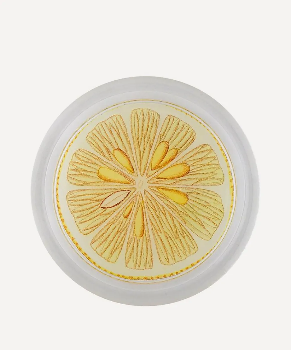 John Derian Stationery And Games^Limonier Citrus Coaster