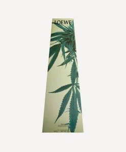 Loewe Candles & Candle Holders^Marihuana-Scented Chandelier Candle