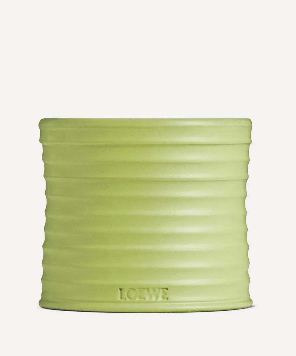 Loewe Candles & Candle Holders^Medium Cucumber Candle 610g