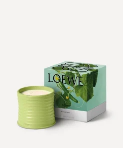 Loewe Candles & Candle Holders^Medium Cucumber Candle 610g