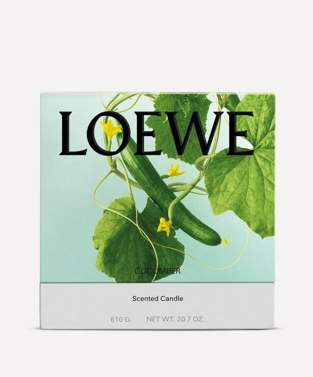 Loewe Candles & Candle Holders^Medium Cucumber Candle 610g