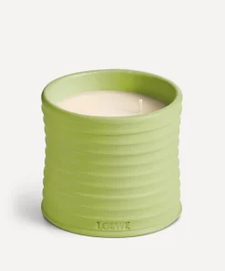 Loewe Candles & Candle Holders^Medium Cucumber Candle 610g