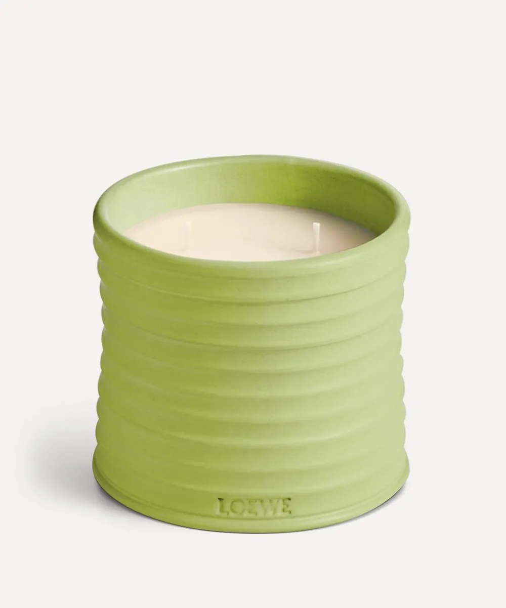 Loewe Candles & Candle Holders^Medium Cucumber Candle 610g