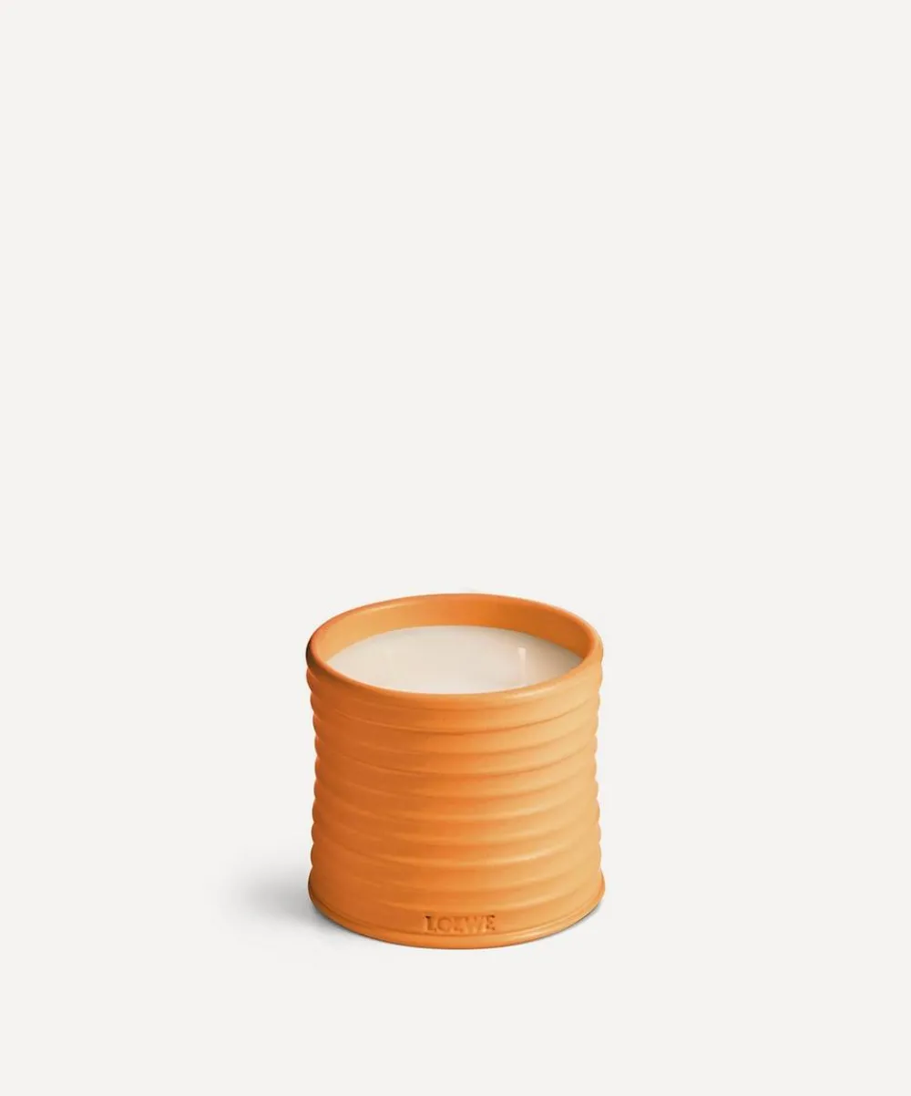Loewe Candles & Candle Holders^Medium Orange Blossom Candle 610g