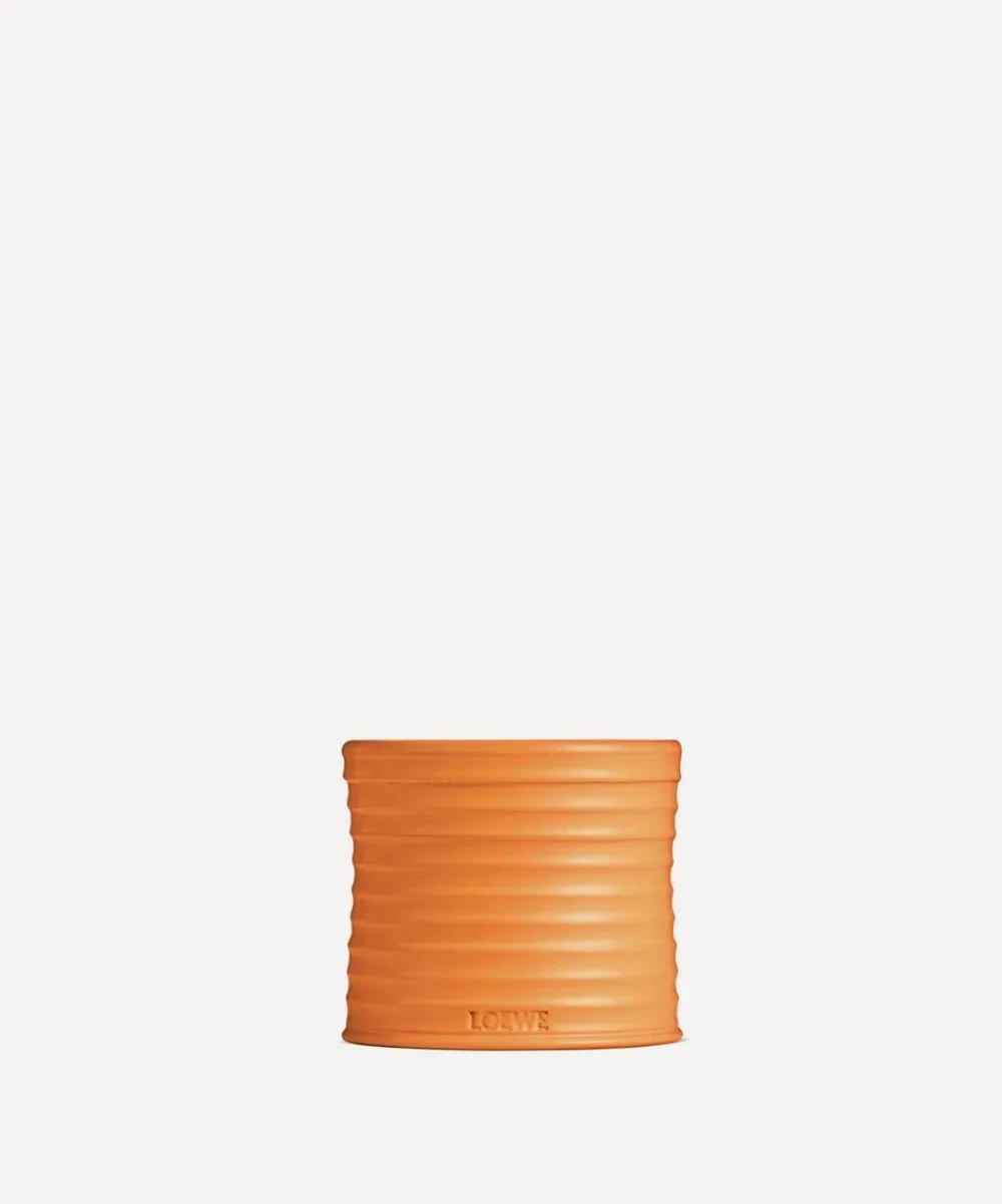 Loewe Candles & Candle Holders^Medium Orange Blossom Candle 610g