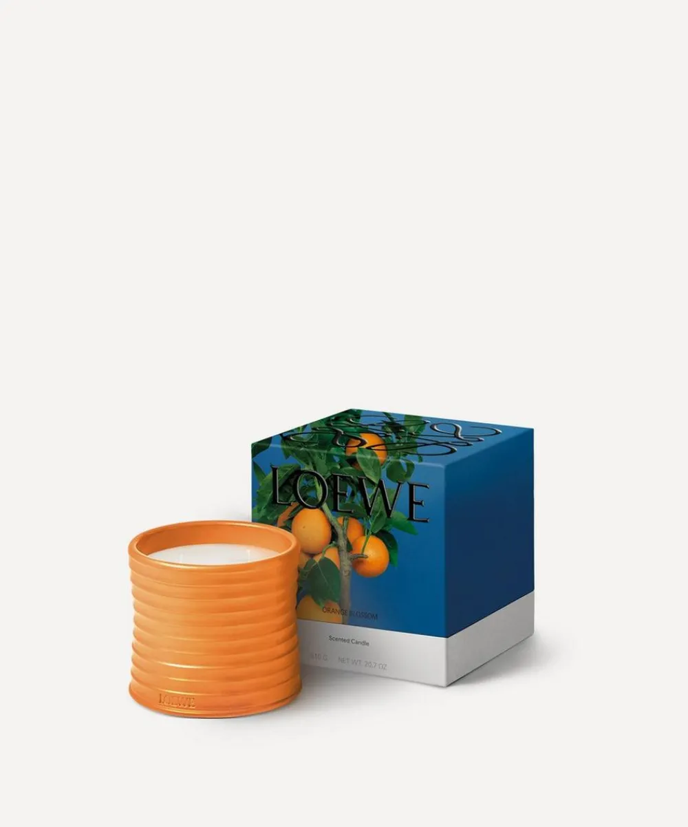 Loewe Candles & Candle Holders^Medium Orange Blossom Candle 610g