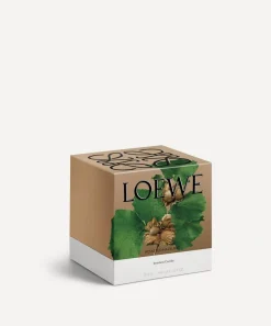 Loewe Candles & Candle Holders^Medium Roasted Hazelnut Candle 610g