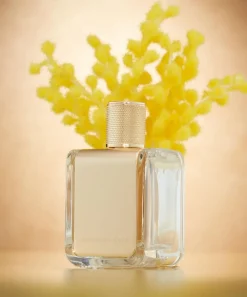 Veronique Gabai Womens Perfume^Mimosa In The Air Eau de Parfum 85ml