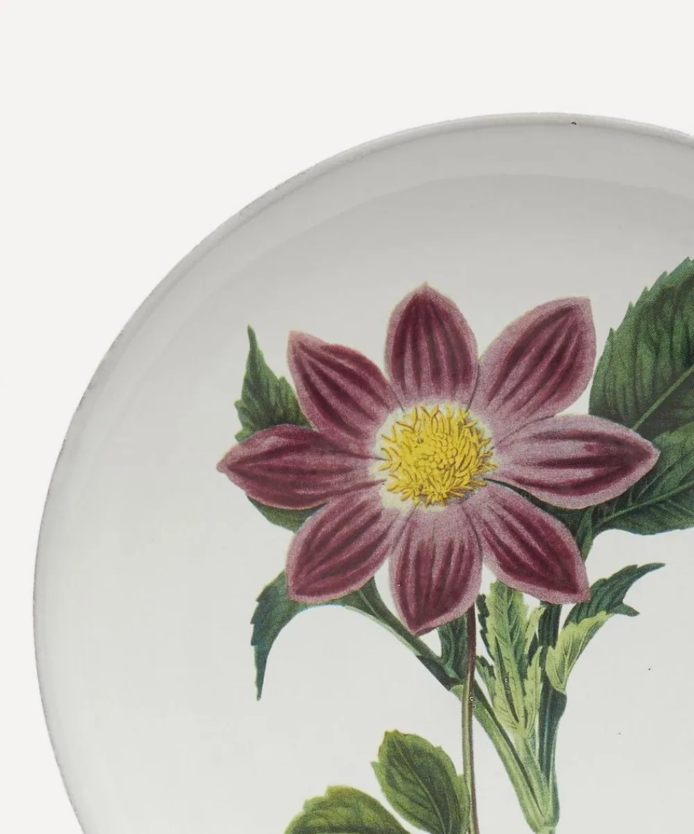 Astier de Villatte Tableware^Pink Flower Dinner Plate