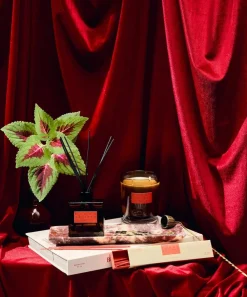 P.F. Candle Co. Candles & Candle Holders^Plush Vetiver HI-FI Incense Sticks