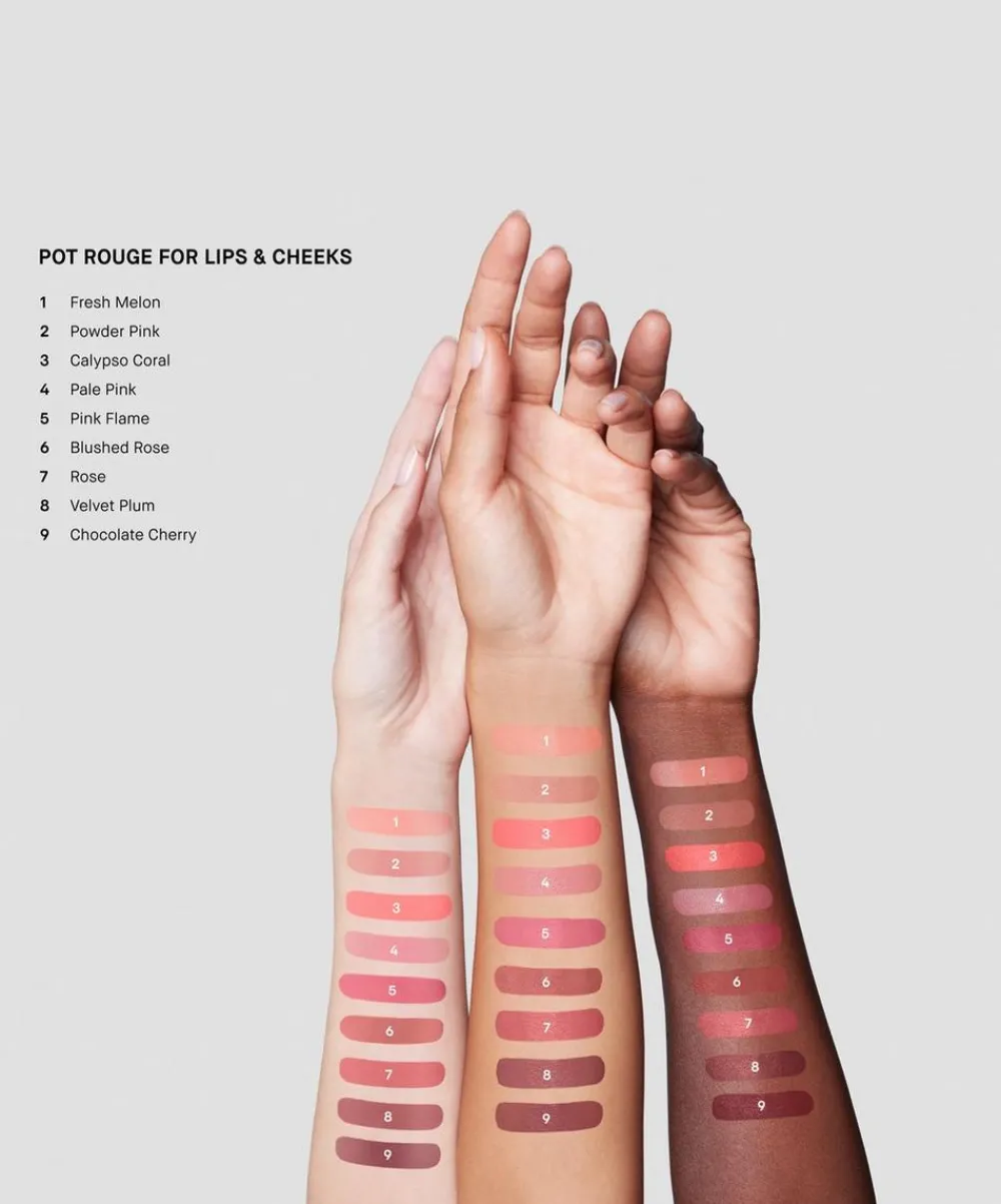 Bobbi Brown Complexion^Pot Rouge for Lips and Cheeks 3.7g