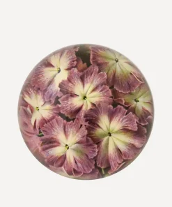 John Derian Stationery And Games^Primula Cortusoides Dome Paperweight