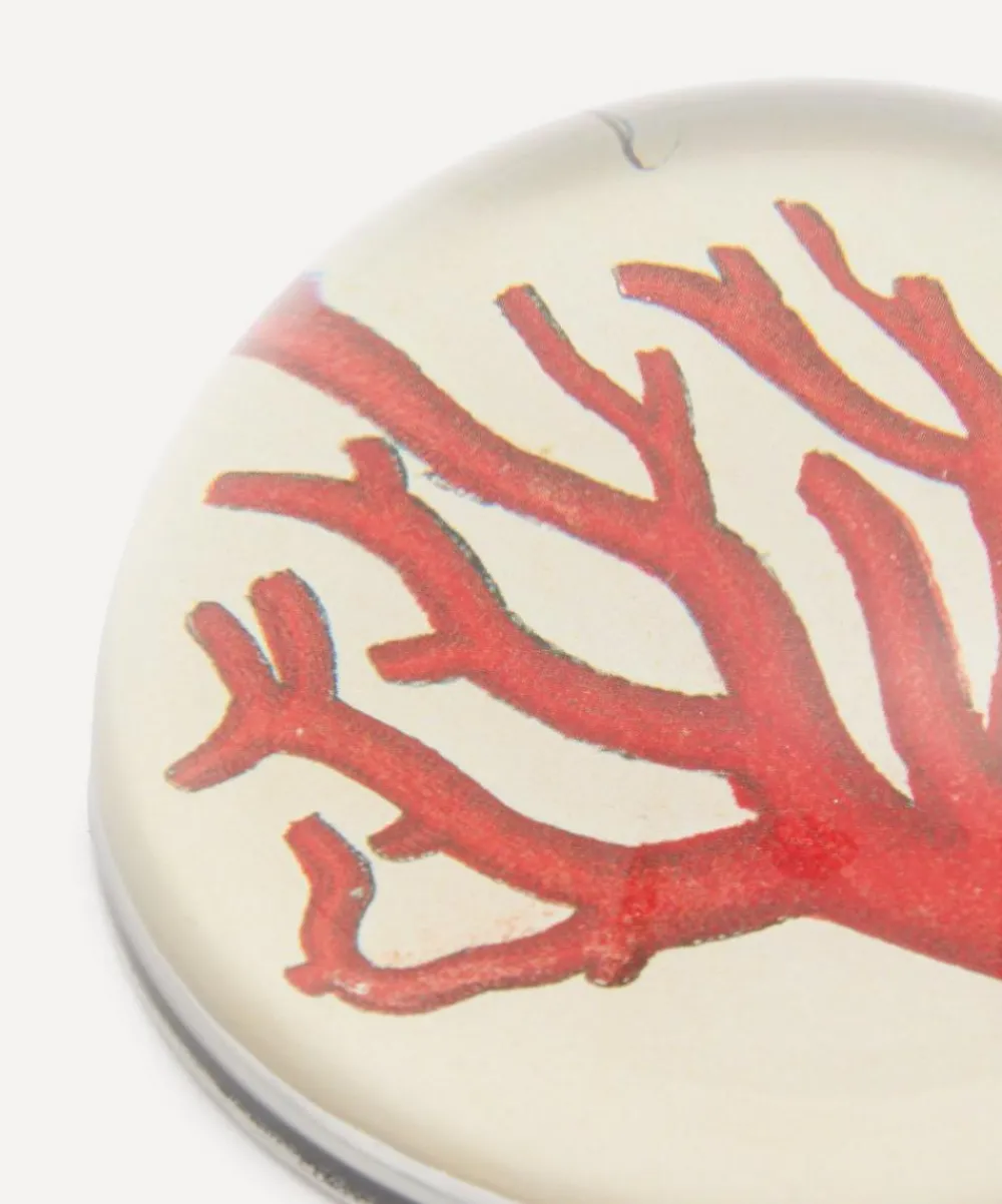John Derian Stationery And Games^Red Coral Paperweight