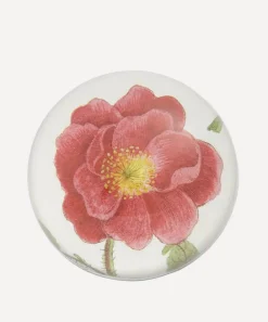 John Derian Stationery And Games^Rosa Rubra Paperweight