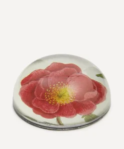 John Derian Stationery And Games^Rosa Rubra Paperweight