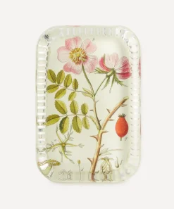 John Derian Stationery And Games^Rose Cannia Dotted Edge Paperweight