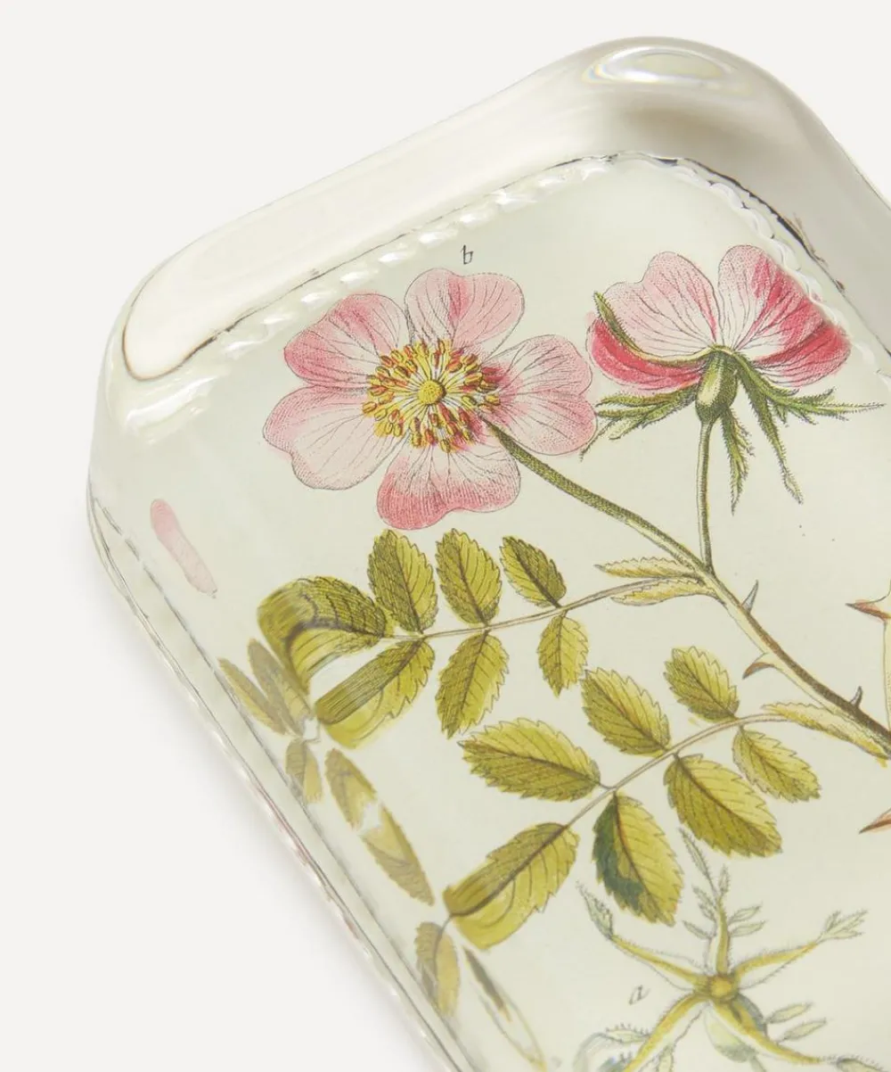 John Derian Stationery And Games^Rose Cannia Dotted Edge Paperweight
