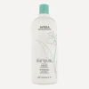 Aveda Shampoo^Shampure Nurturing Shampoo 1000ml